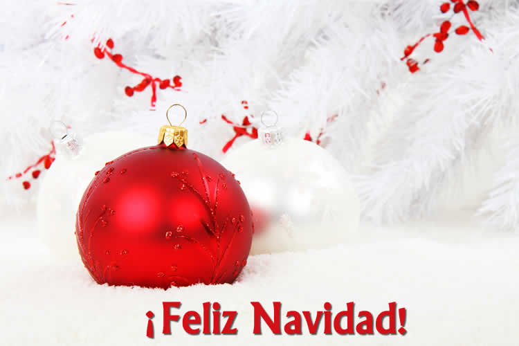 Imagen Feliz Navidad