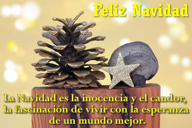 Imagenes de Navidad con frases