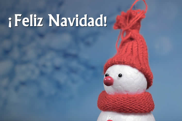 Imagen Navidad