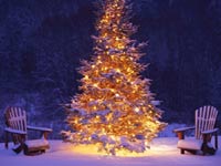 rbol de Navidad Brillante