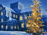rbol Navidad