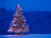 Imagen rbol de Navidad