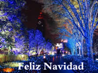 Navidad imagenes