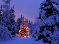 rbol de Navidad Nevado