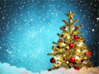 Imagen rbol de Navidad