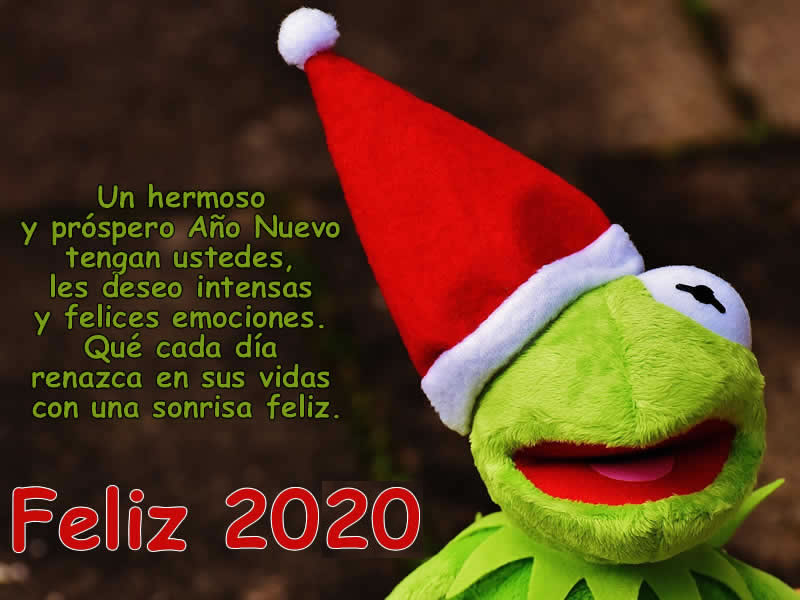 Feliz 2020