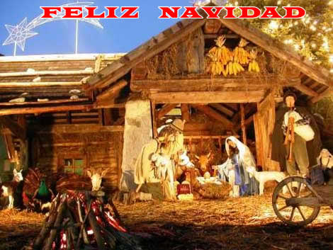 Fotos de Navidad: Fotos de Navidad Pesebre