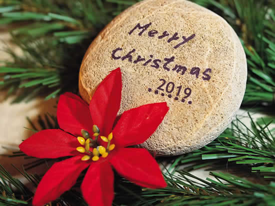 Imgenes Navidad 2023: Navidad 2019 Flor