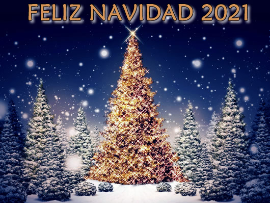 Imagen Feliz Navidad 2021