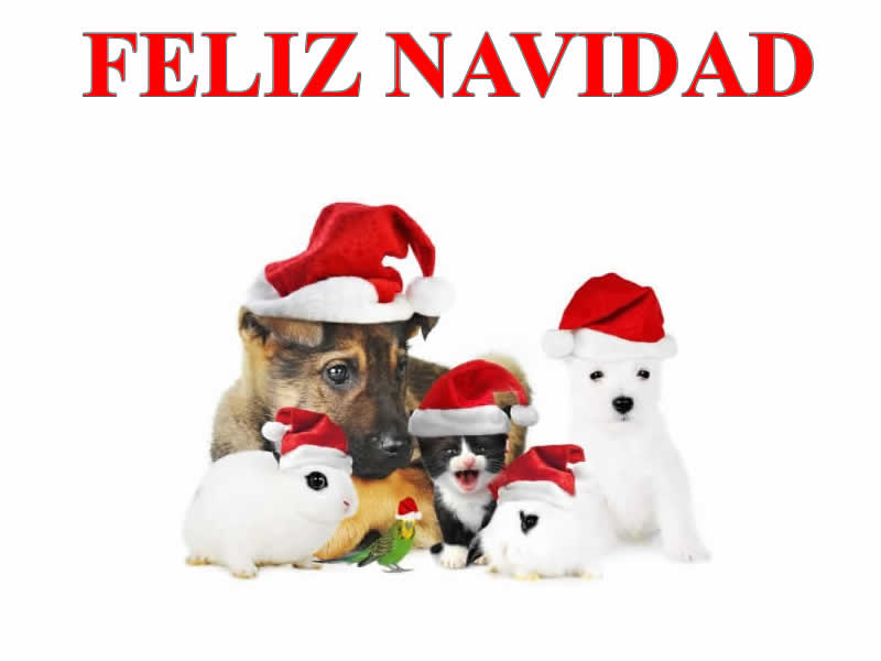 Imágenes de Navidad Animales