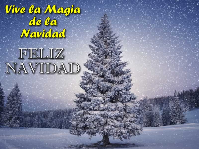 Imágenes de Navidad con frases de Navidad