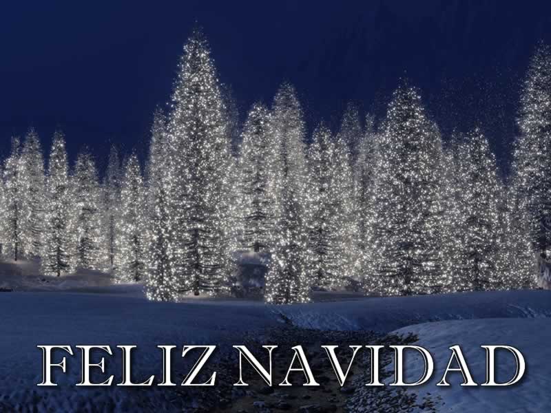 Imágenes de Navidad con frases Navideñas