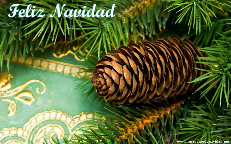 IMAGEN CONO DE PINO DE NAVIDAD