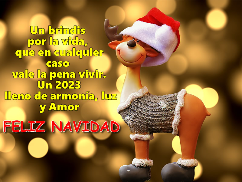Imágenes Frases de Feliz Navidad Imágenes Frases de Feliz Navidad