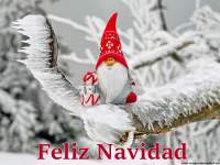 Frases de Feliz Navidad