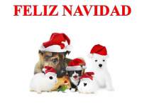 Imgenes de Navidad Animales