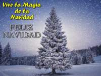 Imgenes de Navidad con frases de Navidad